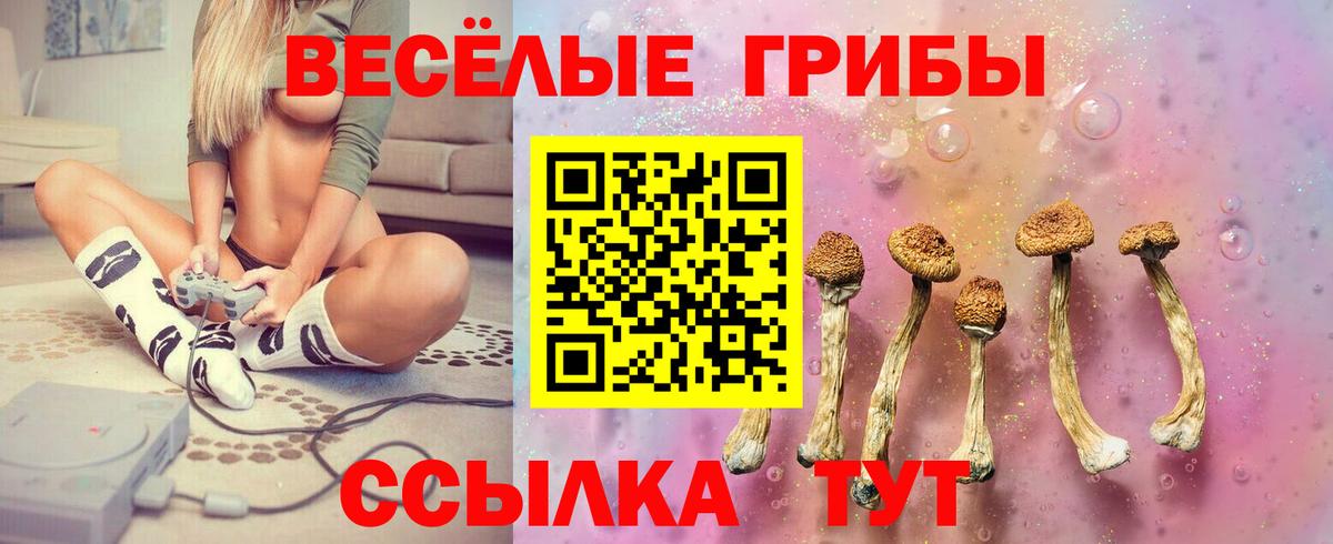 Екатеринбург  купить закладку  Вход с VPN  Псилоцибиновые грибы Magic Shrooms 